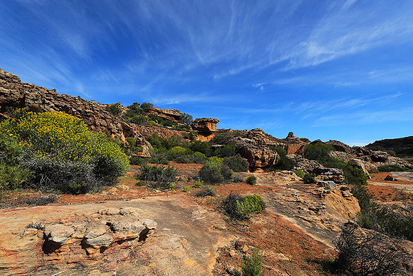 Landscape west coast