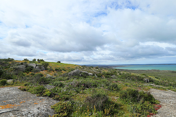 Landscape West Coast NP