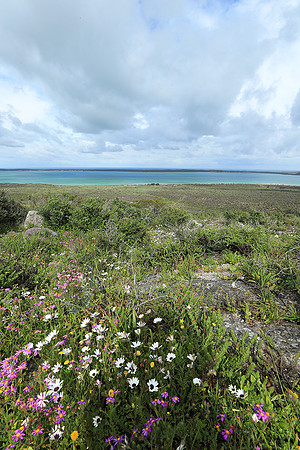 Landscape West Coast NP
