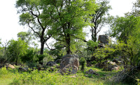 Lion Sands