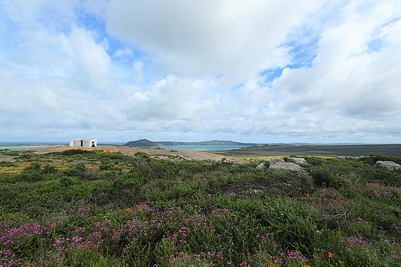 Landscape West Coast NP
