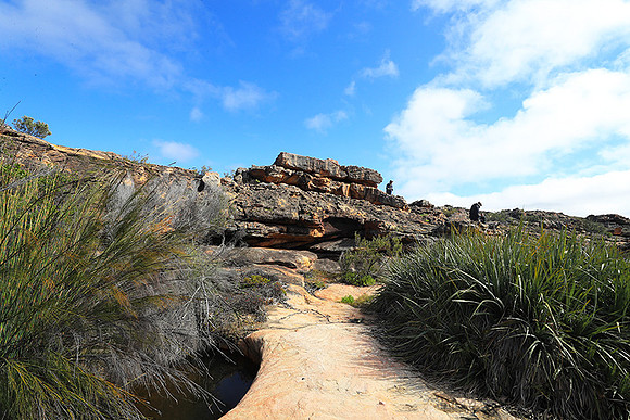 Landscape west coast