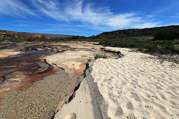 Landscape west coast