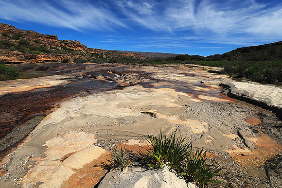Landscape west coast