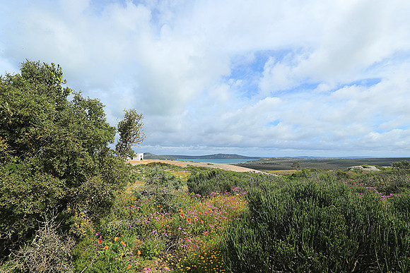 Landscape West Coast NP