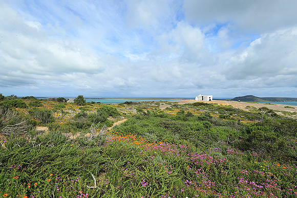 Landscape West Coast NP