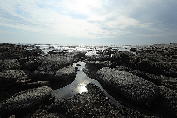 Landscape - coast