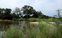 Lion Sands