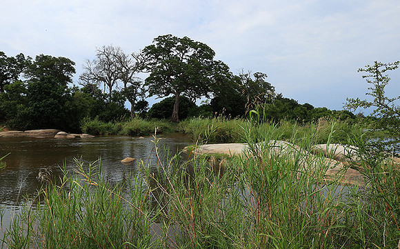 Lion Sands