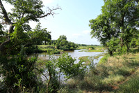 Lion Sands
