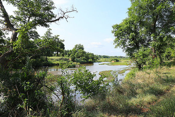Lion Sands