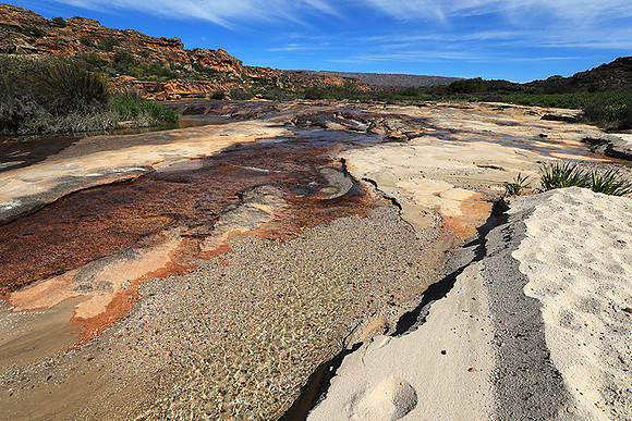 Landscape west coast