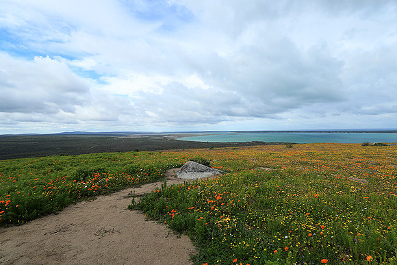 Landscape West Coast NP
