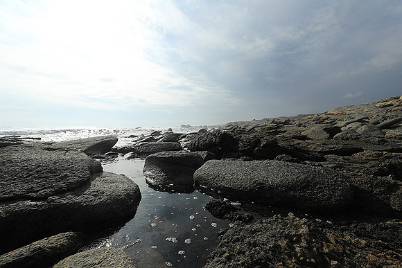 Landscape - coast