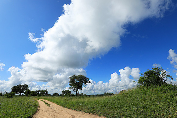 Londolozi game reserve