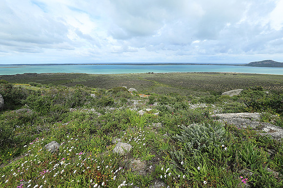 Landscape West Coast NP