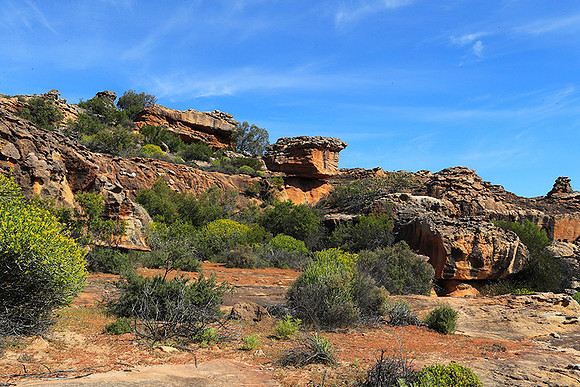 Landscape west coast