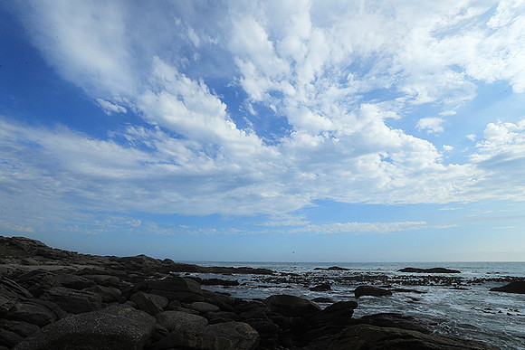 Landscape - coast