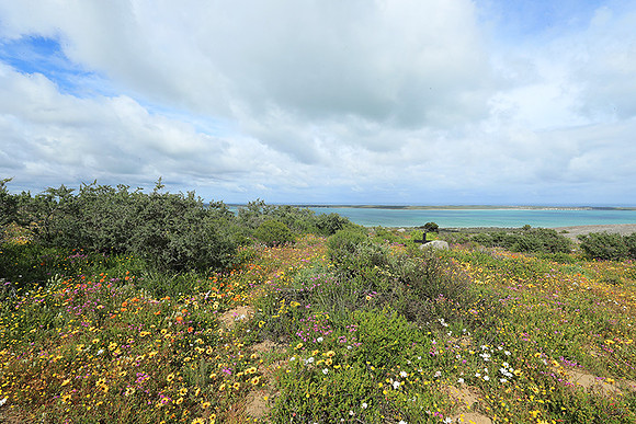 Landscape West Coast NP
