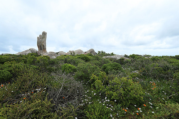 Landscape West Coast NP