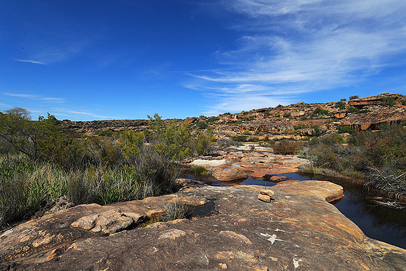 Landscape west coast