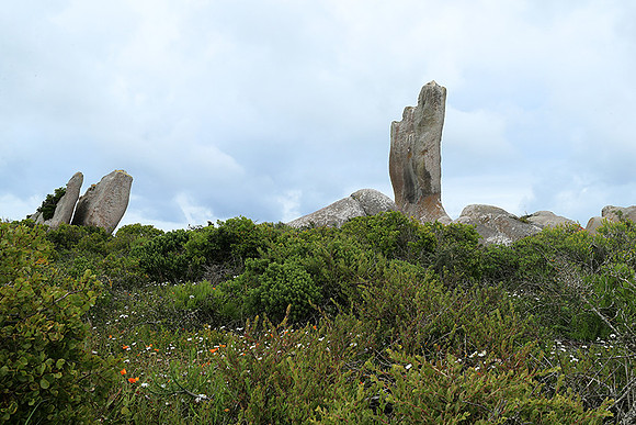 Landscape West Coast NP