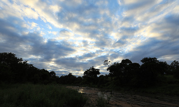Mala Mala game reserve