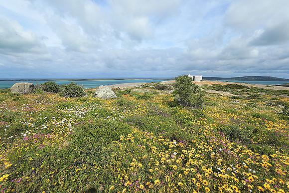 Landscape West Coast NP