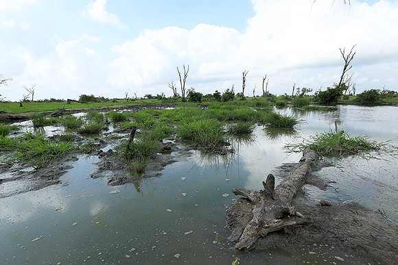 Londolozi Game Reserve