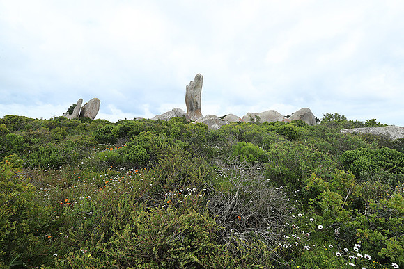 Landscape West Coast NP