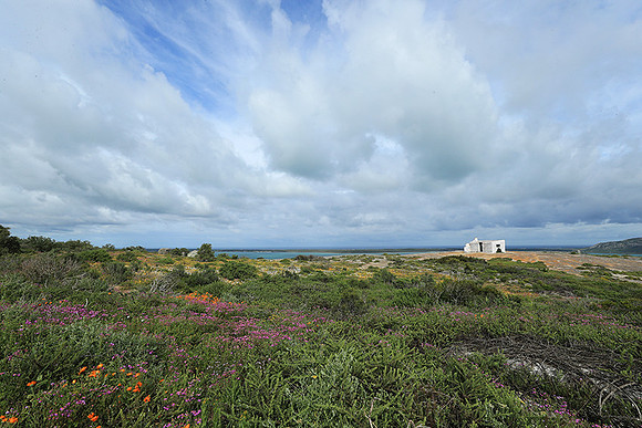 Landscape West Coast NP