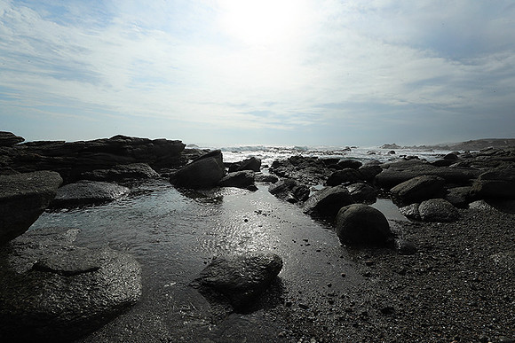 Landscape - coast