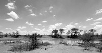 South Africa - Madikwe game reserve