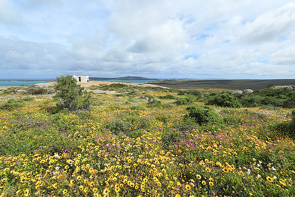Landscape West Coast NP