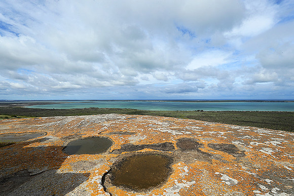Landscape West Coast NP
