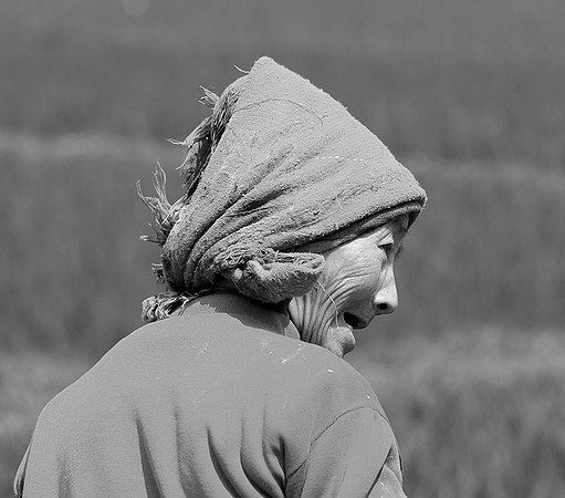 At Mai Chau - Northern Vietnam