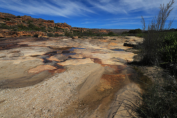 Landscape west coast