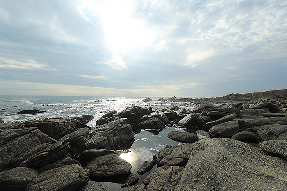 Landscape - coast