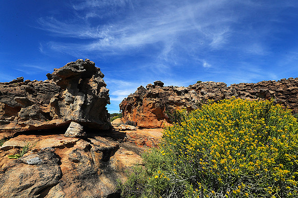 Landscape west coast