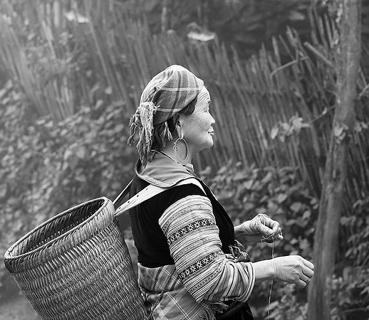 Hmong ethnic group - Northern Vietnam