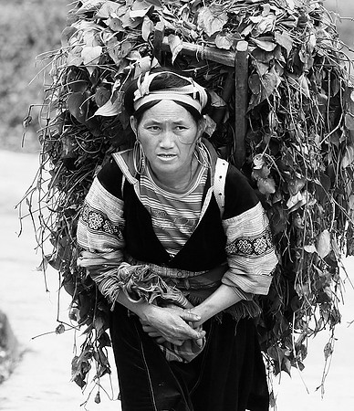 Hmong ethnic group - Northern Vietnam