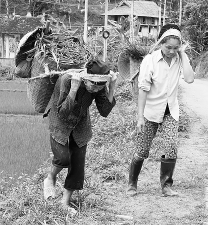 Pu Luong - Northern Vietnam