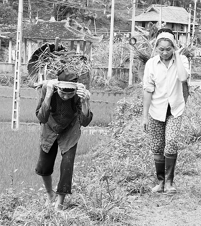 Pu Luong - Northern Vietnam