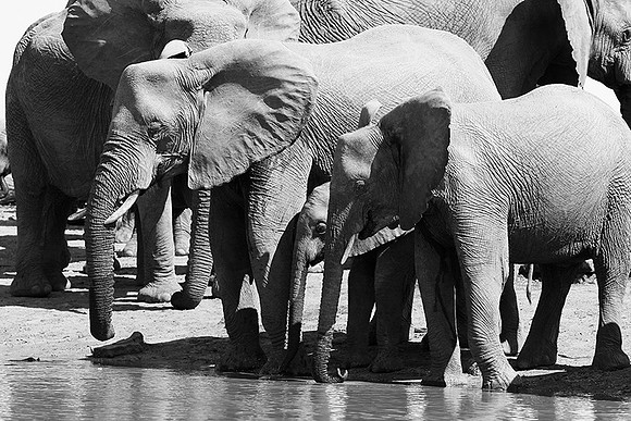 At Timbavati