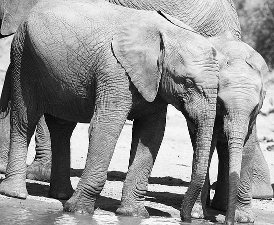 At Kruger NP