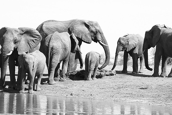 At Kruger NP