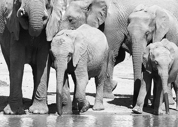 At Kruger NP