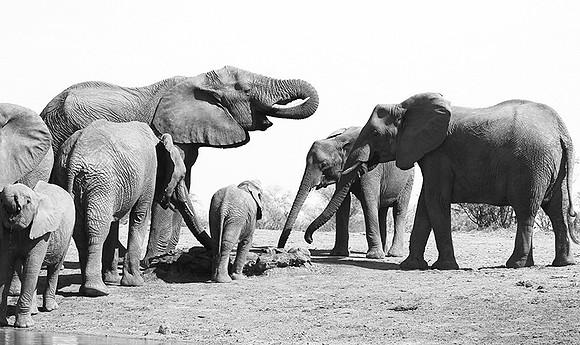 At Kruger NP