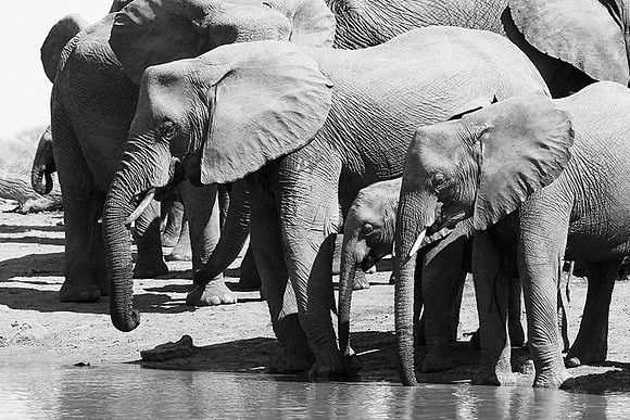 At Timbavati