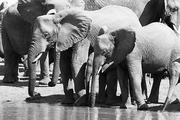At Kruger NP